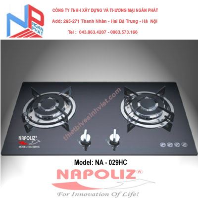 Bếp gas âm Napoliz NA-029HC