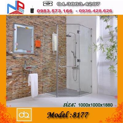 Vách kính tắm Đình Quốc DQ-8177 (1000x1000x1880)