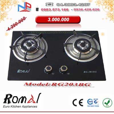Bếp gas âm Romal RG-203BG