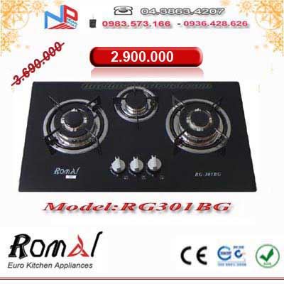 Bếp gas âm Romal RG-301BG