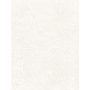 Gạch ốp Viglacera Ceramic 30×45 – B4501
