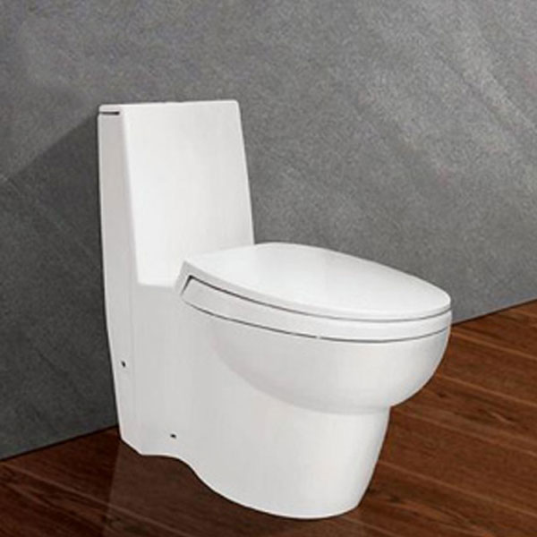 Bồn cầu Viglacera V60 1 khối