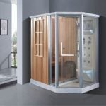 Phòng xông hơi khô và ướt TDO T-9006