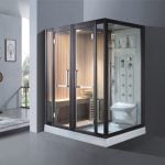 Phòng xông hơi khô và ướt TDO T-9009