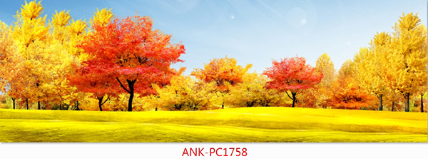 Gạch kính ốp bếp Anh Khang ANK-PC1758