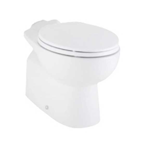 Bồn cầu American 2409-WT van xả trực tiếp