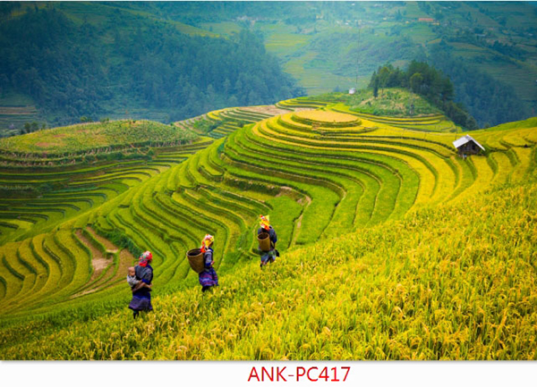 Gạch tranh phong cảnh Anh Khang ANK-PC147