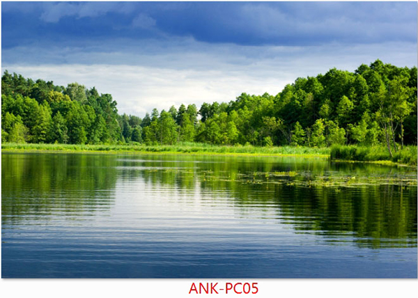 Gạch tranh phong cảnh Anh Khang ANK-PC06