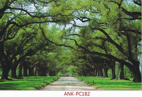Gạch tranh phong cảnh Anh Khang ANK-PC182
