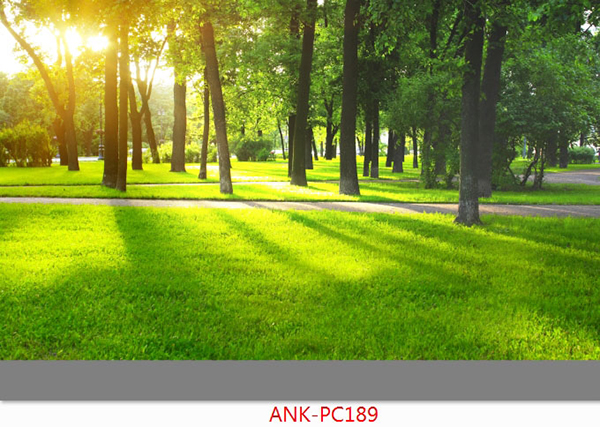 Gạch tranh phong cảnh Anh Khang ANK-PC189