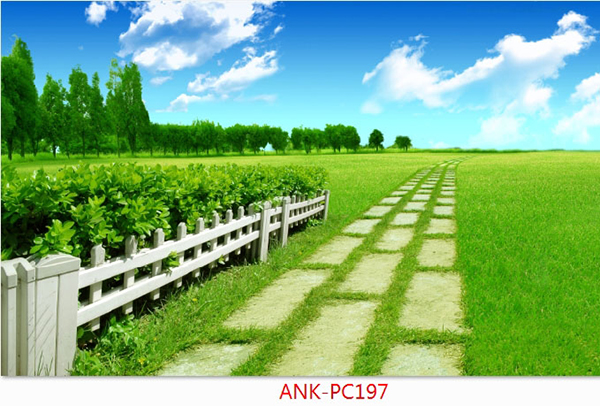 Gạch tranh phong cảnh Anh Khang ANK-PC197