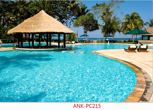 Gạch tranh phong cảnh Anh Khang ANK-PC215