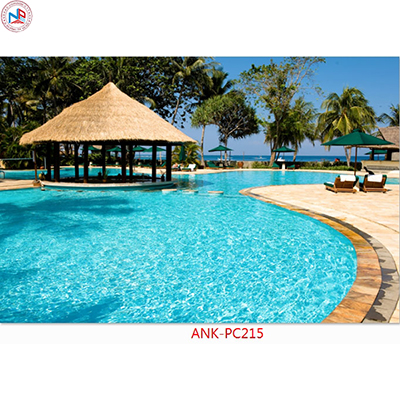 Gạch tranh phong cảnh Anh Khang ANK-PC215