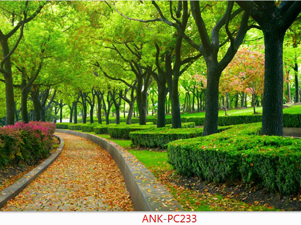 Gạch tranh phong cảnh Anh Khang ANK-PC233