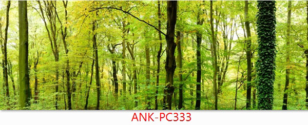 Gạch tranh phong cảnh Anh Khang ANK-pc330