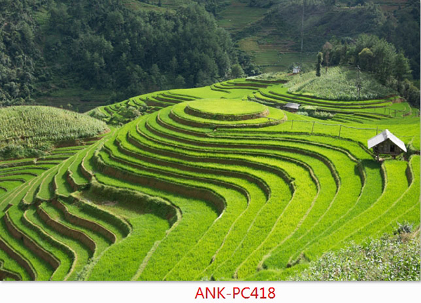 Gạch tranh phong cảnh Anh Khang ANK-PC418