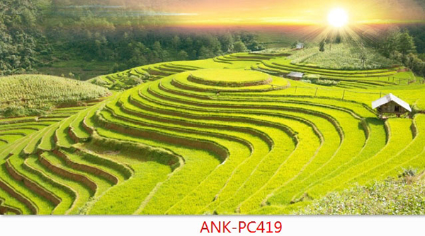 Gạch tranh phong cảnh Anh Khang ANK-PC419