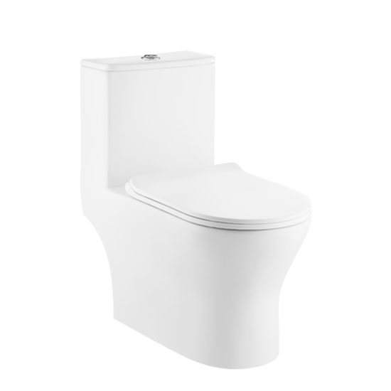 Bồn cầu một khối Moen SW3142C1