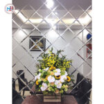 Gương nghệ thuật NP-422 Gương nghệ thuật NP-422