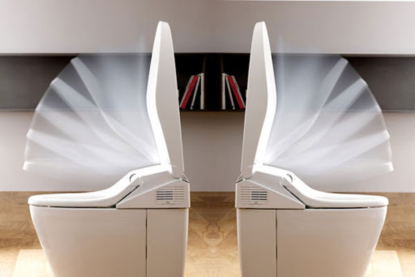 Các loại nắp bồn cầu trên thị trường hiện nay Các loại nắp bồn cầu trên thị trường hiện nay