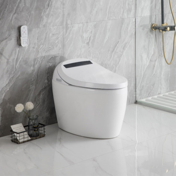 Phân loại bidet 6