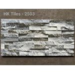 Gạch thẻ Hồng Hà 25×50 Tiles 2503 Gạch thẻ Hồng Hà 25×50 Tiles 2503