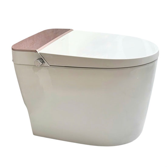 Bồn cầu Hanjin HJ-8481 nắp rửa cơ