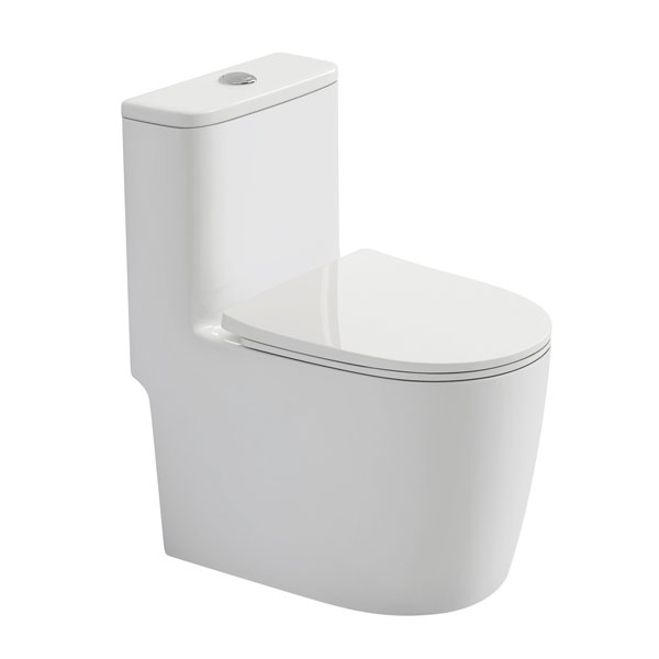 Bồn cầu Roy 8177X-S một khối