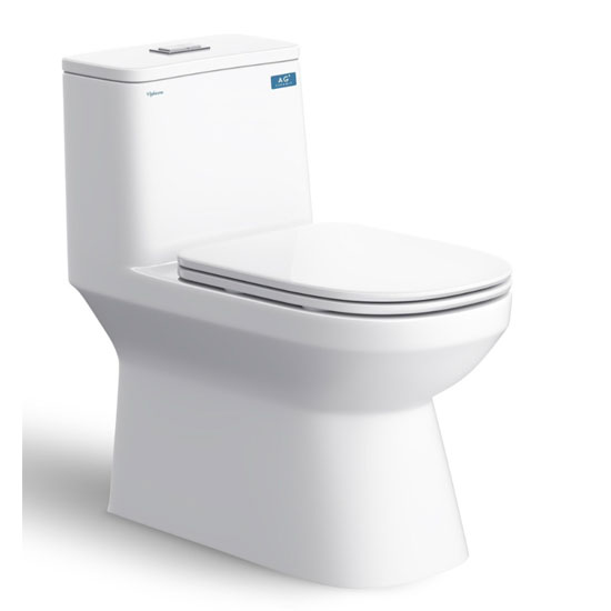 Bồn cầu Viglacera V816 1 khối