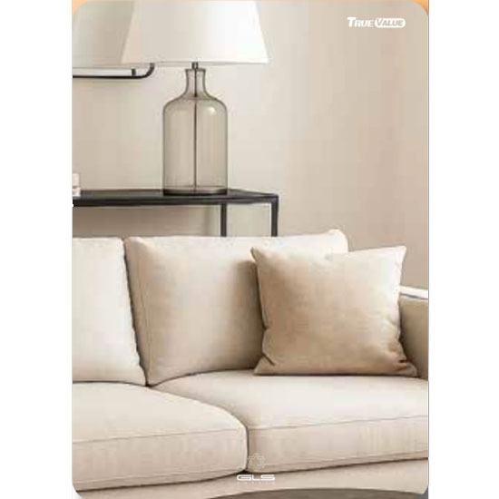 Gương phòng tắm GLS VS00R30 mài cạnh đứng