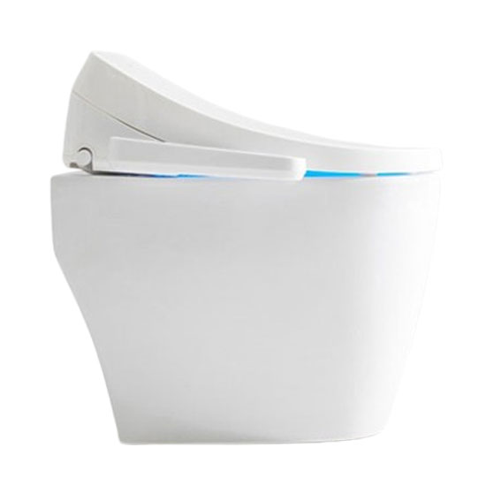 Nắp bồn cầu thông minh Tewon TSA1901