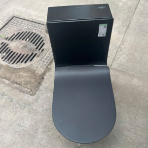 Bồn cầu Duravit 588.45.460 một khối