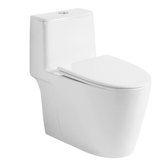 Bồn cầu Roy 1493X-S một khối