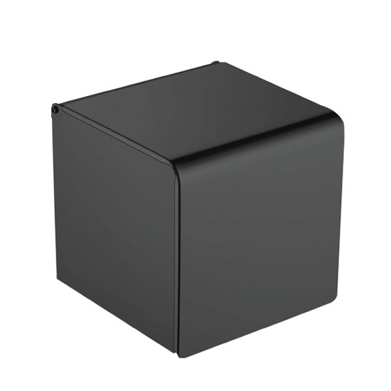 Lô giấy vệ sinh EcoBath EC3006 màu đen mờ Lô giấy vệ sinh EcoBath EC3006 màu đen mờ