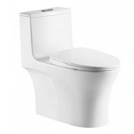 Bồn cầu Roy 2295X-S một khối