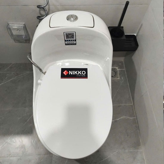 nap-bon-cau-nikko-Nikko-P6005