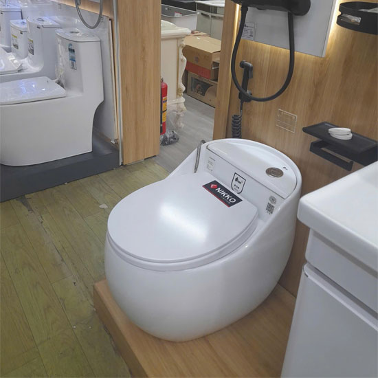 nap-bon-cau-nikko-Nikko-P6005