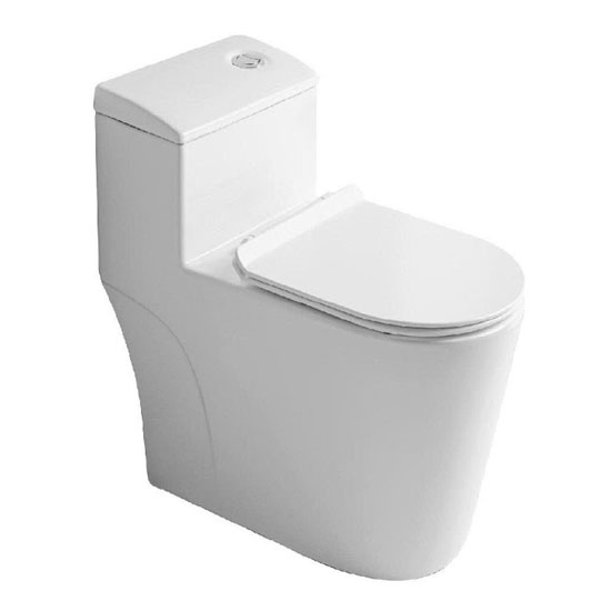 Bồn cầu Roy 8070X-S một khối