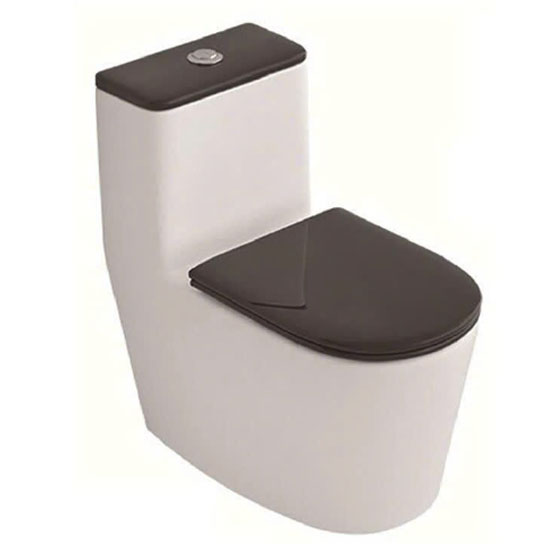 Bồn cầu Roy 2620BX-S một khối