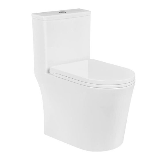 Bồn cầu Roy 8039X-S một khối