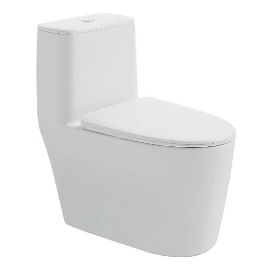 Bồn cầu Roy 8059X-S một khối