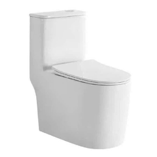 Bồn cầu Roy 8166X-S một khối