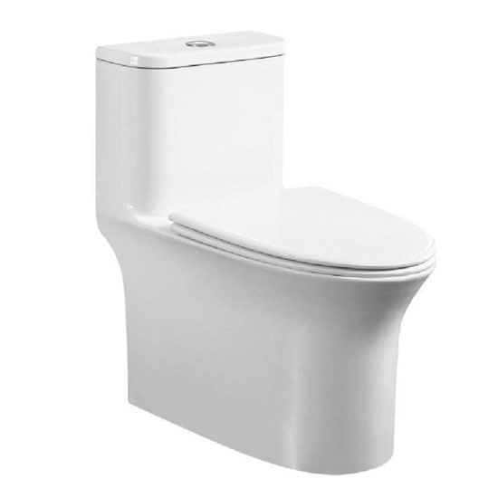 Bồn cầu Roy 8290X-S một khối