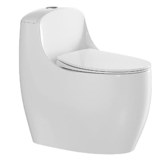 Bồn cầu Roy 9888X-S một khối