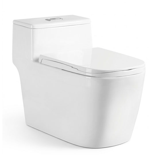 Bồn cầu Roy Z-1036 một khối