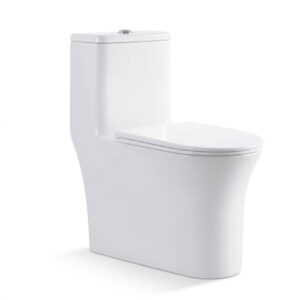 Bồn cầu Royal RA-9911 một khối