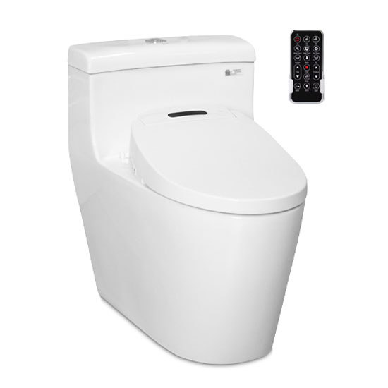 Bồn cầu Ecod EB088 nắp rửa EBN1805