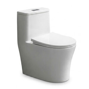 Bồn cầu Thiên Thanh A300 1 khối