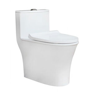 Bồn cầu Thiên Thanh Galaxy-CK66 1 khối