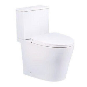 Bàn cầu Caesar CD1342 2 khối nắp êm